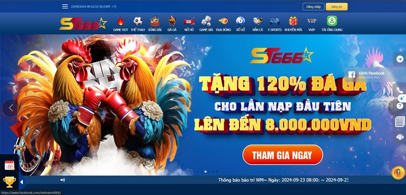 Đá Gà KUBET - Mãn Nhãn Với Những Trận Chiến Chuyên Nghiệp