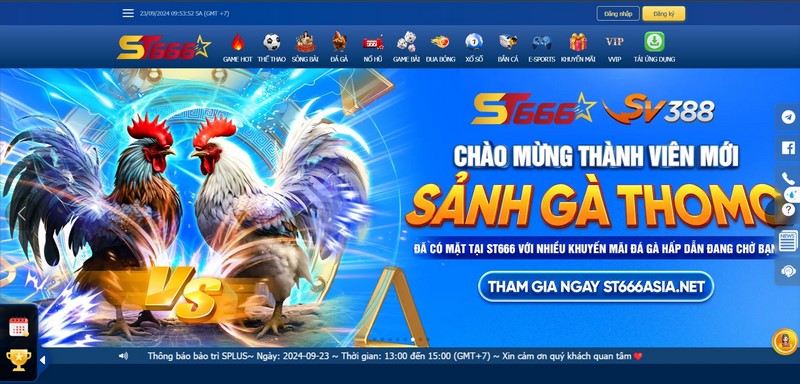 Đá Gà KUBET - Mãn Nhãn Với Những Trận Chiến Chuyên Nghiệp